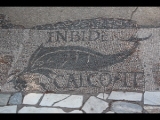 06667 ostia - regio iv - insula v - taberne dei pescivendoli (iv,v,1) - mosaik - delphin - inschrift inbide - calco te.jpg